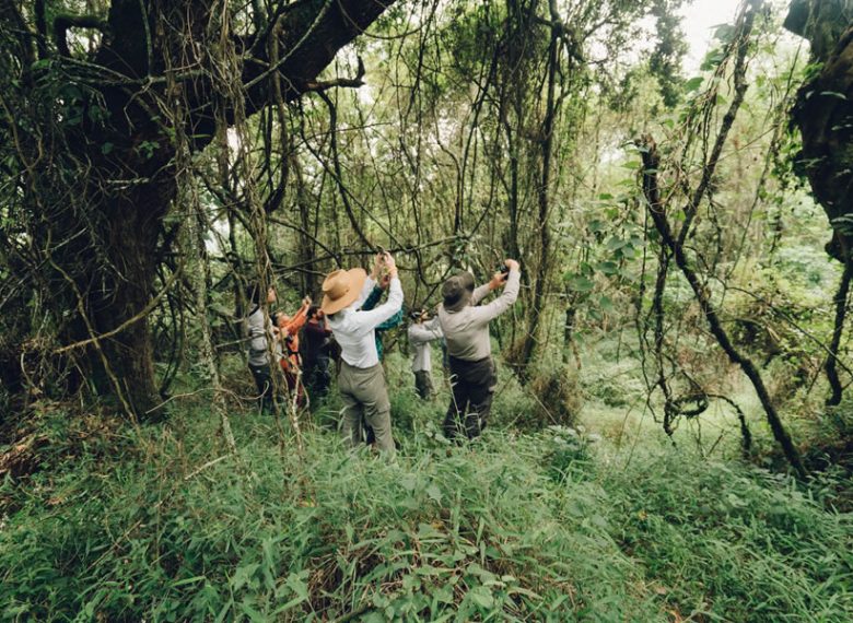 We Discover You Explore