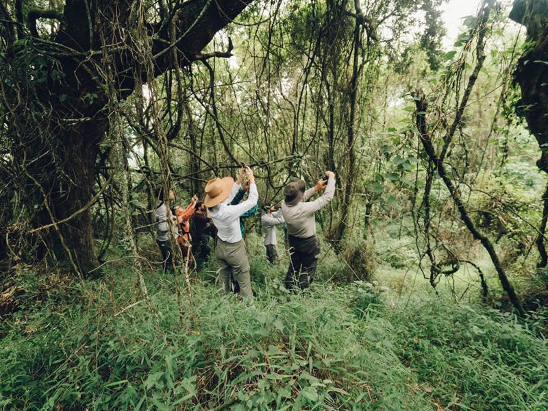 We Discover You Explore