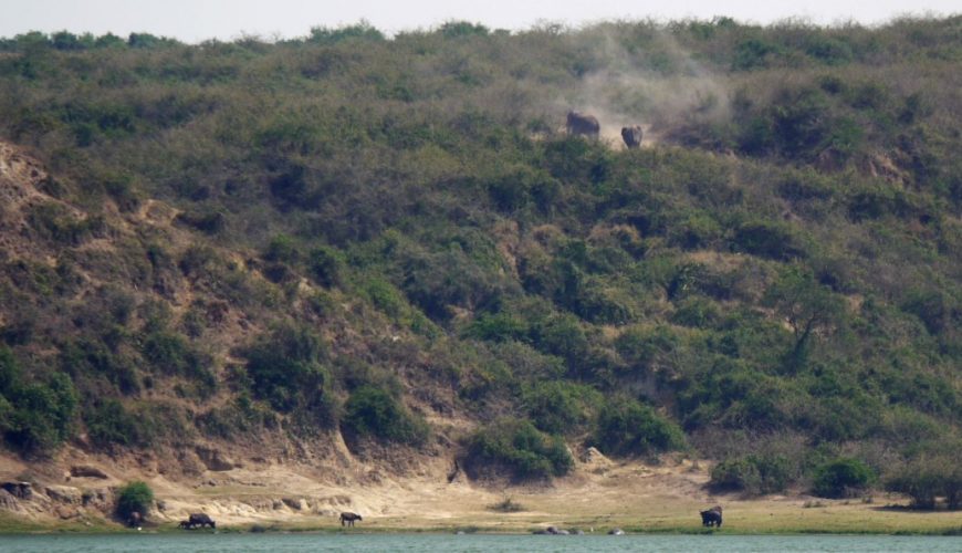 This park was named after the royal Queen Elizabeth 11 of England; it was founded in 1952 as Kazinga national park that connected Lake George and Edward game reserves