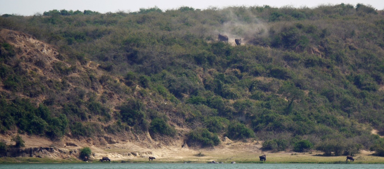 Day 3; Lake Mburo national park – Horseback riding – Transfer to Queen Elizabeth national park –Kasoga community tour
