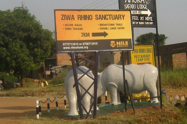 Day 2: Depart Kampala city - To Murchison falls national park – Evening hiking to the top of the Falls