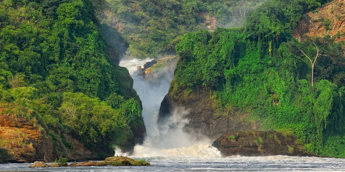 Day 3; Murchison Falls National Park - Morning game drive – Afternoon Boat cruise – Evening game drive 