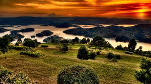 Day 8: Bwindi Impenetrable Forest national park - Morning Mountain gorilla tracking – Transfer to Lake Bunyonyi  