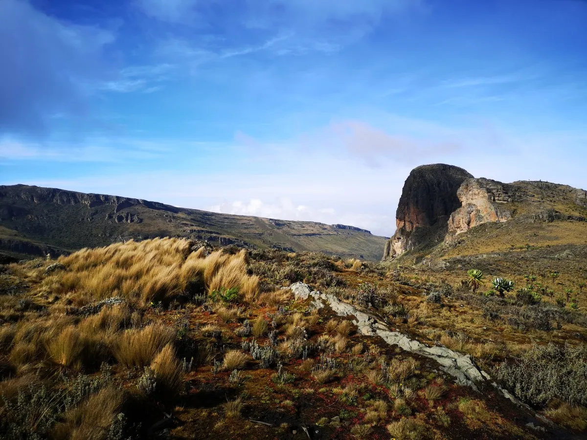 Day 3; Sasa camp – Hike to Mude Camp (3.500m)