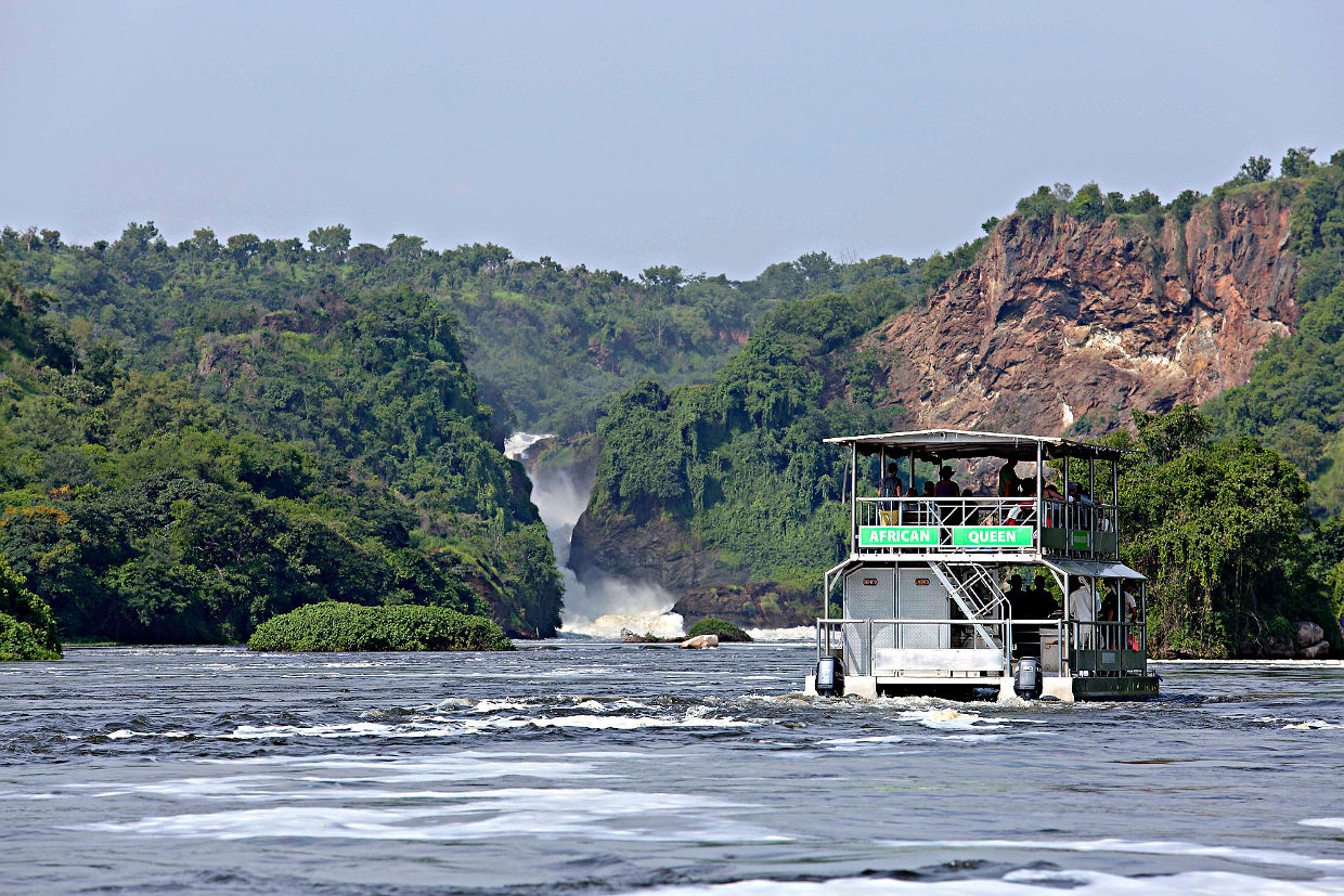 Day 3; Murchison Falls National Park – Early morning game drive – Afternoon boat cruise trip – Evening game drive 